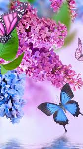 , cute love wallpaper full hd download desktop mobile backgrounds 1920×1080. Android Wallpaper Hd Cute Butterfly 2021 Android Wallpapers
