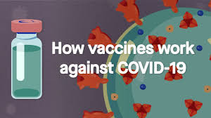 Find and schedule a vaccine appointment at new jersey vaccination locations near you. Covid 19 Vaccine