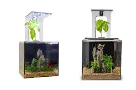 Here, you'll get the detailed aquasprouts garden review describing all its features. 11 Best Home Aquaponics Kits Your Buyer S Guide 2021 Heavy Com