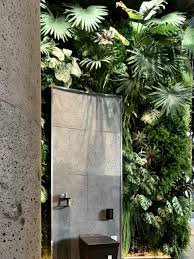 cngreen artificial rainforest at kohler shanghai in 2020 rainforest shanghai plants