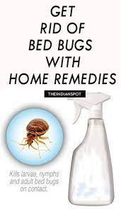 Pin On Bug Home Remedies
