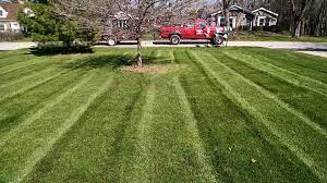 Easy to book, prices are fixed and upfront. Why Organic Lawn Care Is Essential