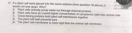 Check spelling or type a new query. 17 If A Plant Cell Were Placed Into The Same Chegg Com