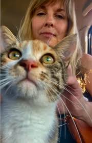 💕 🇨🇦 UPDATE! 🐾 It looks like I have found someone to bring Miko to not  only Canada but exactly the province where I live! I will post an update  when she