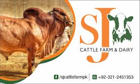 Simple element illustration from india concept icons. Sj Cattle Farm Dairy Posts Facebook