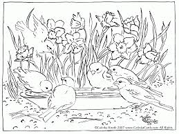 Top Image Coloring Pages For Nature Bird Coloring Pages Coloring Pages Nature Spring Coloring Pages