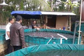 Dalam menghitung berapa untung yang didapatkan, maka perlu diketahui terlebih dahulu mengenai modal yang dibutuhkan. Cara Budidaya Ikan Lele Di Kolam Terpal Bagi Pemula Dan Perawatannya Hingga Panen