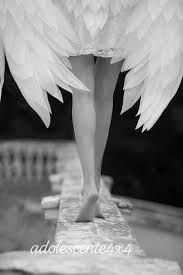 99 Mewe La Red Social De Nueva Generacion Angel Pictures Angel Aesthetic Angel Art Download your collections in the code format compatible with all browsers, and use icons on your. 99 mewe la red social de nueva