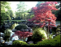 This Is Kyoto Gardens A Small Place In Holland Park Located In London It S Really A Beautiful Spot Beautiful Gardens Beautiful Places Kyoto Garden