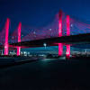Cuomo bridge tours ahead of time to secure your spot. 1