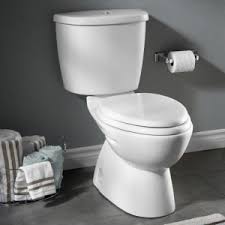 Where do you go when you gotta go? How To Buy A Toilet In Albany Capital Region E W Tompkins Plumbing Heating Cooling