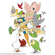 Bird Of Paradise Drawing Funny 