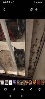 Is there any gyms in Franklin park that are privetly owned in a warehouse  where I can pay monthly For a pass where it's not as busy as these bigger  gyms?