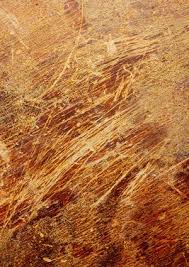 Quick Tip Fix Wood Scratches With This Favorite Snack Scratched Wood Wood Repair Scratched Wood Floors