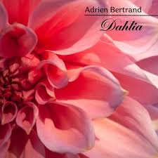 Download Adrien Bertrand album songs: Dahlia