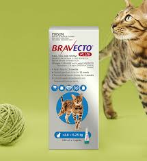 Talk to your veterinarian about prescribing safe feline heartworm prevention that comes in topical treatments and chewables. Bravecto Plus For Cats All In One Spot On Treatment For Your Cat
