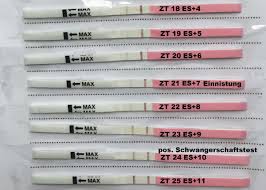 Ab wann ist ein test sinnvoll und das ergebnis zuverlässig? Orakeln Mit Ovulationstest So Erkennst Du Fruher Ob Du Schwanger Bist