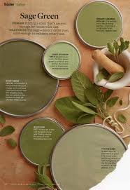 October 2013 Sage Green Better Homes Gardens Color Palette Organicgarden Sagebloss Paint Colors For Home Interior Paint Colors Schemes House Colors