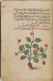 We hope this will help you to understand arabic better. Asian And African Studies Blog Medicine