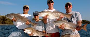 Maybe you would like to learn more about one of these? Afishionado Guide Services Charter Fishing Guide Services