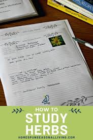 How To Study Herbs Studying Herbs Herbs Herbalism