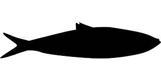 Download Svg Food Fish Frisch Nature Free Svg Image Icon Svg Silh