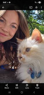 Hey hey! I just want to offer my petsitting services for the next 3  weekends (and beyond) as I have had some last minute cancellations. Im  available for walks, check ins, and