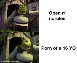 Fucking disgusted : rNoRules