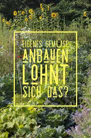 Eigenes Gemuse Anzubauen Lohnt Sich Mit Kosten Nutzen Rechnung Gemuse Anbauen Gemuseanbau Anbau
