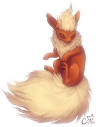 Flamara Zeichnungen Pokemon Flamara