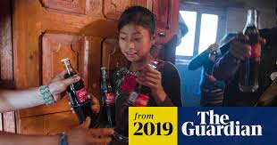 Image result for Cola chlorantha