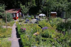 Besonders in kleinen garten ist auch bei uns die gartengestaltung ohne rasen auf dem vormarsch doch selbst grosse garten ohne rasen sind bei entsprechender planung durchaus reizvoll. Naturgarten Tipps Tricks Zur Gartensaison Geo
