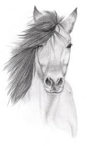 Onions still life study pencil drawing art original artwork realism painting drawing kitchen wall art food healthy eating diet fresh vegetables fruit home decor Horse Pencil Sketch By Vulpes Corsac On Deviantart Pencil Sketches Of Animals Horse Drawings Pencil Drawings Of Animals
