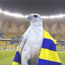 Pin By خالد العنزي On صور Animals Parrot Bird