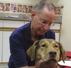 THE GERMAN SHEPHERD DOG CLUB OF MINNEAPOLIS & ST. PAUL, INC. www.gsdcmsp.org