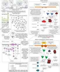 Maybe you would like to learn more about one of these? Mesothelioma Interactome With 367 Novel Protein Protein Interactions Biorxiv