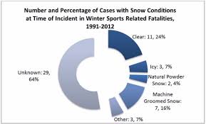 Winter Sports Death Review Report 2015 Ministry Of The Solicitor General Let's experience all the advantages of this great and magical season, and chill down your desktops with these amazing, shiny white & icy winter wallpapers! winter sports death review report 2015