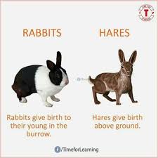 Pin By Cleopetra On Gk Learn English English Online English Vocabulary