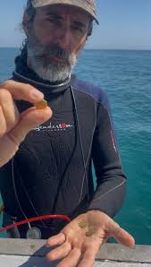 And so, it begins! (Full story and pictures in the link.)  https://www.1715treasurefleet.com/single-post/2025-season-begins