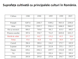 Maybe you would like to learn more about one of these? Agricultura Romaneasca Lumea Satului