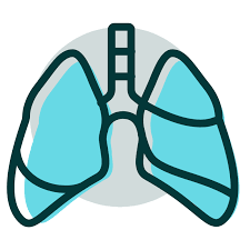 Early stage mesothelioma typically does not cause symptoms, so it is rarely diagnosed in stage 1. Pleural Mesothelioma Symptoms Stages Prognosis More
