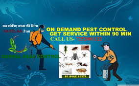 Their pest control specialists are always dedicated to providing expert advice, quality workmanship, and satisfying overall service. Hatelaa Pest Control Dehradun Pest Control Service Dehra Dun India 6 Photos Facebook