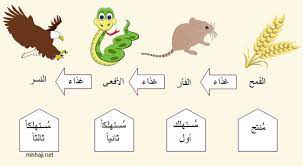 السلسلة بالصور سبحان غذائية للحيوانات baby mobile baby