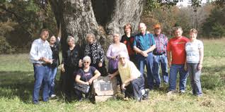 Its sister tree, the white oak, is slower growing but longer living, sometimes reaching 300 feet. Mena Home To Arkansas Champion Tree My Pulse News