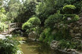 We spent almost 2 hours wandering the grounds and enjoying the various gardens. Zilker Botanical Gardens A Jewel Set Within The Heart Of Austin Austintexas Gov