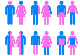 Resultado de imagen de Hombre = mujer