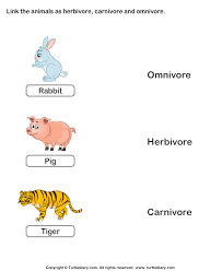 Humans are an excellent example of an omnivore. List Of Herbivores Carnivores And Omnivores Worksheet Turtle Diary