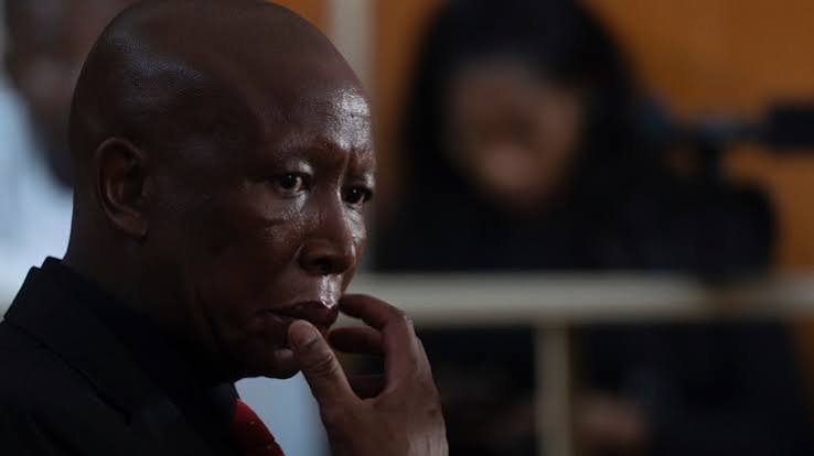 South African politician Julius Malema sentenced to 5 years for firing rifle shots at rally | NEWS10 ABC