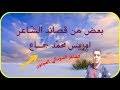 محمد سعد بن أحمد بن مسعود اليوبي. ØªØ­Ù…ÙŠÙ„ Ø§Ø¨ÙŠØ§Øª Ø´Ø¹Ø± Ø¥Ø¯Ø±ÙŠØ³ Ø¬Ù…Ø§Ø¹ÙŠ Mp3 Mp4