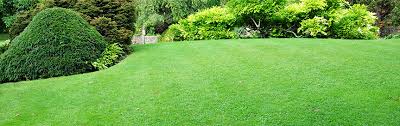 Ornamental grasses often grow in clumps or mounds which look good almost anywhere: When To Plant Grass Seed In Michigan Jonathan Green
